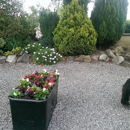 The Ring Farmhouse Birr Extérieur photo