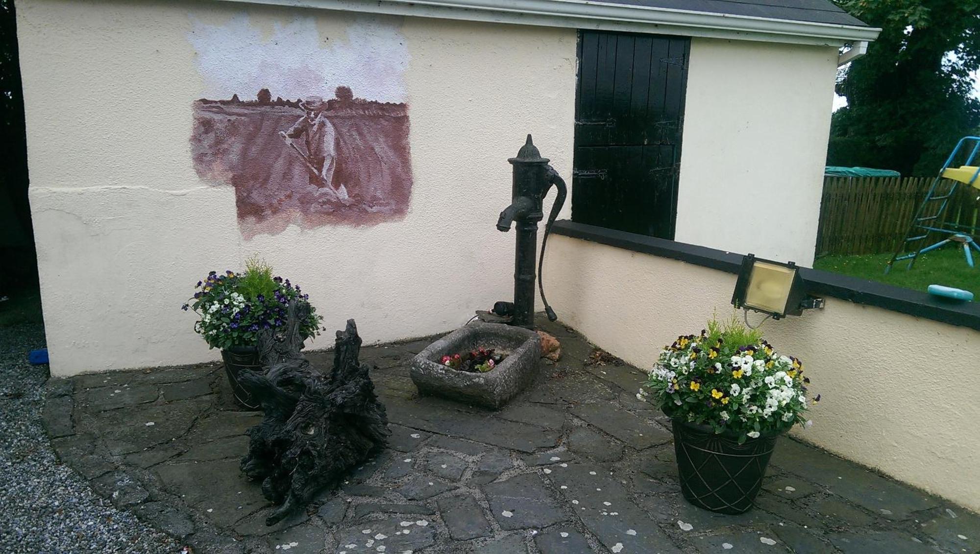 The Ring Farmhouse Birr Extérieur photo
